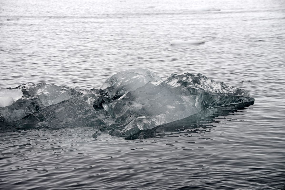 10C Black Ice In The Water At Neko Harbour From Zodiac On Quark Expeditions Antarctica Cruise